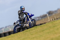 PJ-Motorsport-2019;anglesey-no-limits-trackday;anglesey-photographs;anglesey-trackday-photographs;enduro-digital-images;event-digital-images;eventdigitalimages;no-limits-trackdays;peter-wileman-photography;racing-digital-images;trac-mon;trackday-digital-images;trackday-photos;ty-croes